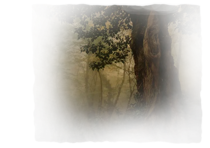 curing tree